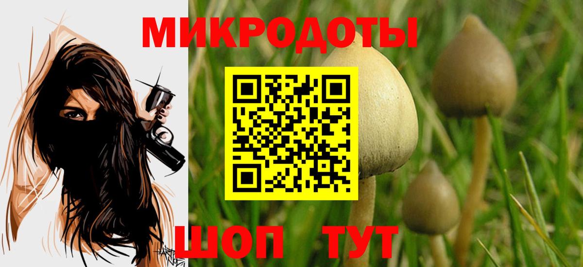 Галлюциногенные грибы Psilocybe Альметьевск